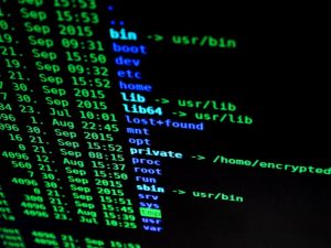 Comment mettre à jour Windows pour corriger les failles zero day