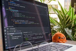 Catppuccin : Thèmes pastel pour IDE et terminaux – Guide